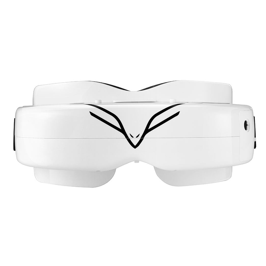 Flysight fpv online goggles